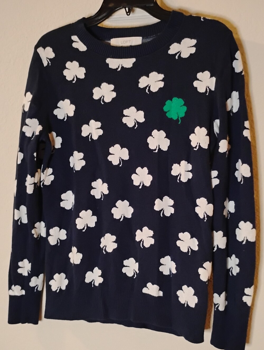 Used LOFT Sweater